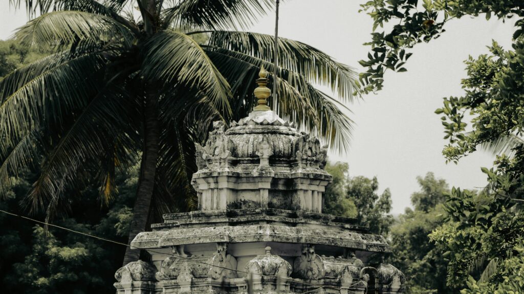 Best destination in Kerala with temple and coconut trees