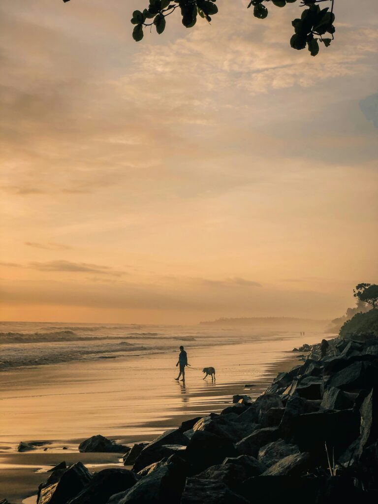 Best destination in Kerala with man waking dog on beach