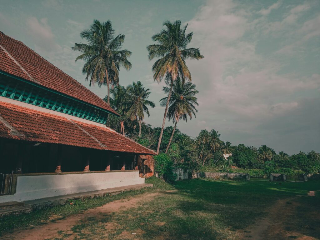 Traditional village house with coconut trees in Kerala