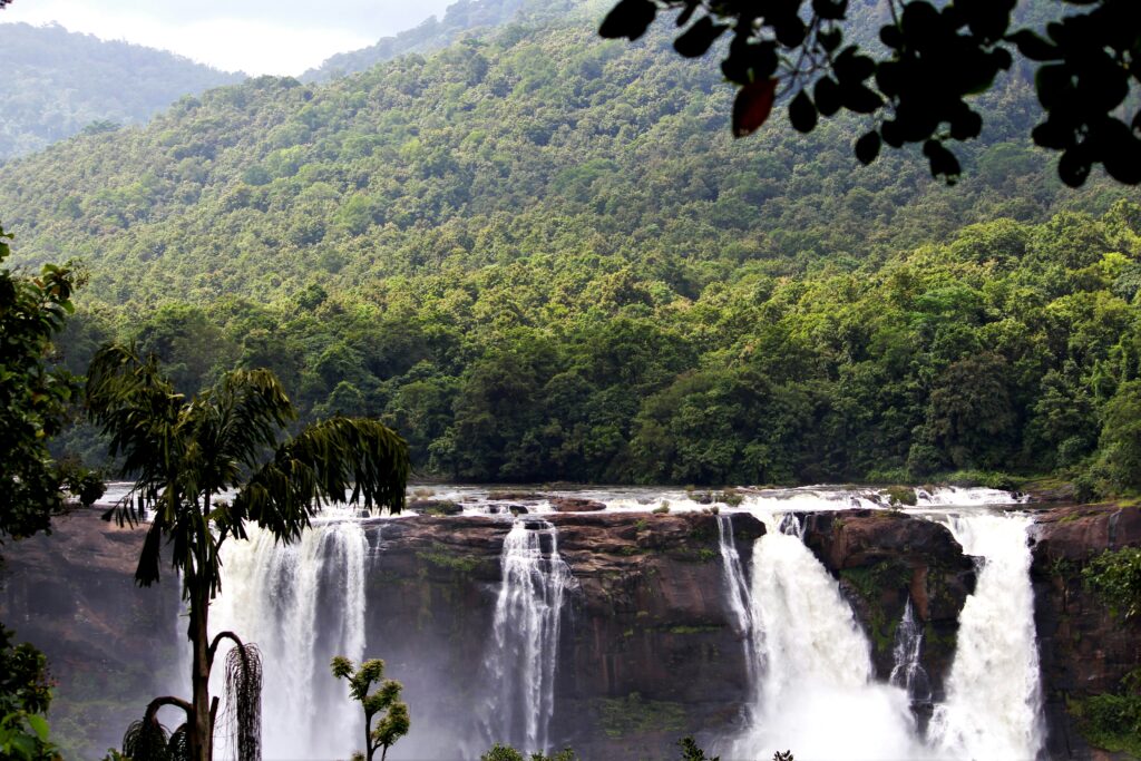 Waterfalls in Kerala forest with lush greenery